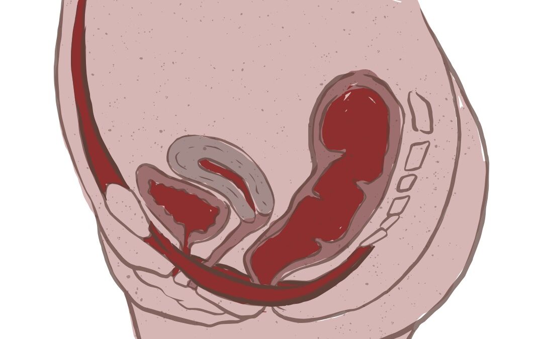 Pavimento pelvico